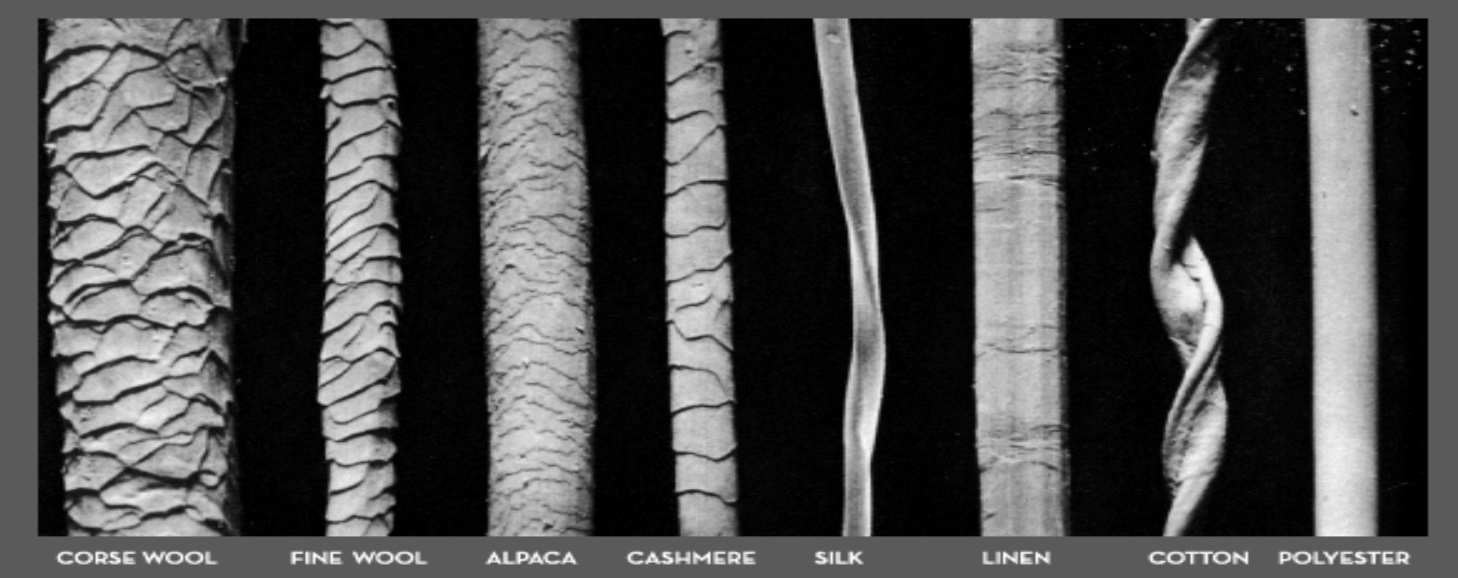Fasern unter dem Mikroskop