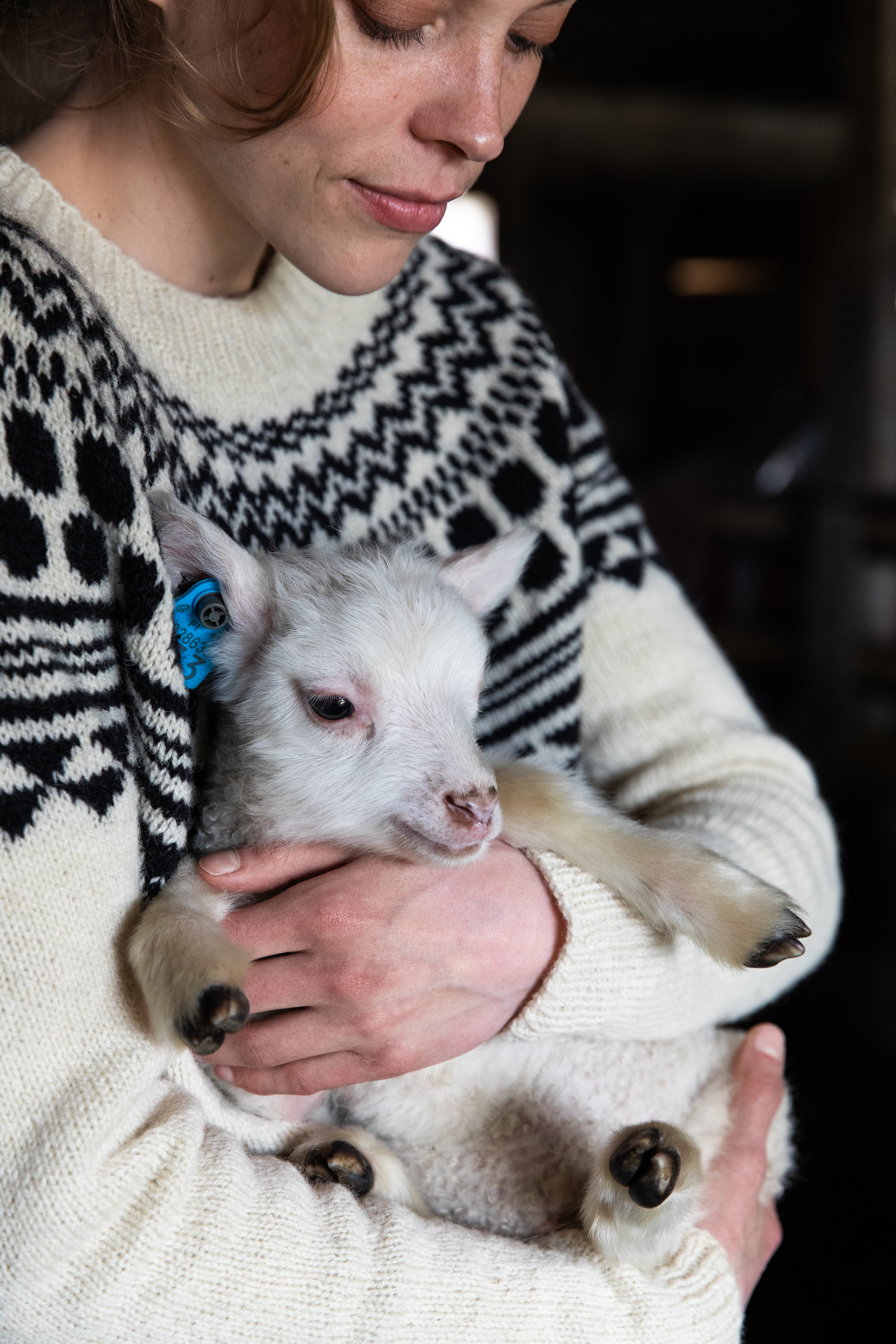 Tukubook – Bild 15